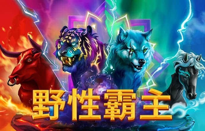 千锦娱乐APP下载地址